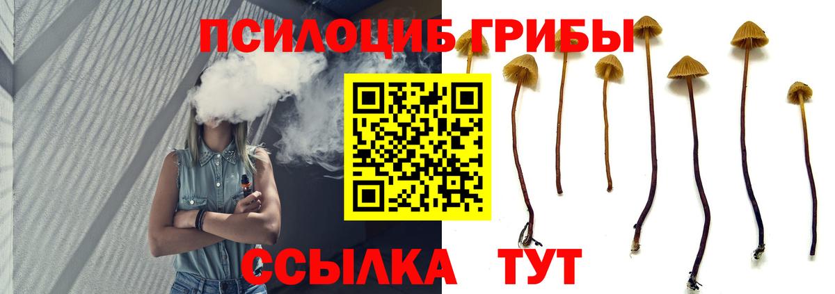 Псилоцибиновые грибы Psilocybe  Галлюциногенные грибы MAGIC MUSHROOMS  Чебаркуль  Вход с VPN 