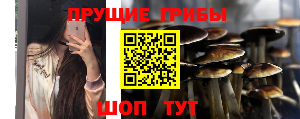 Галлюциногенные грибы Magic Shrooms Чебаркуль